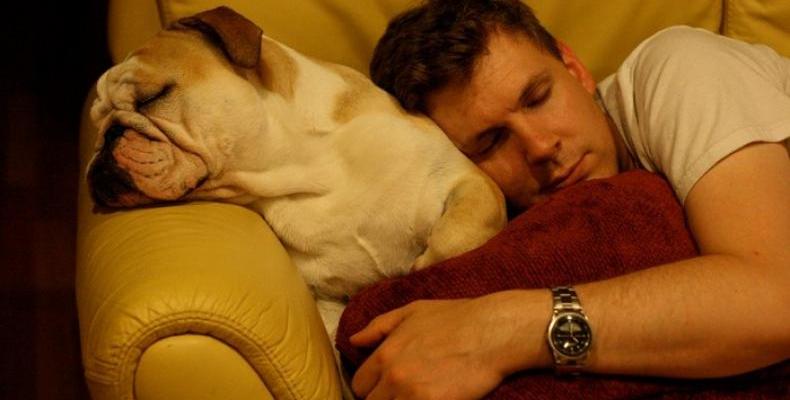 Световен ден на съня