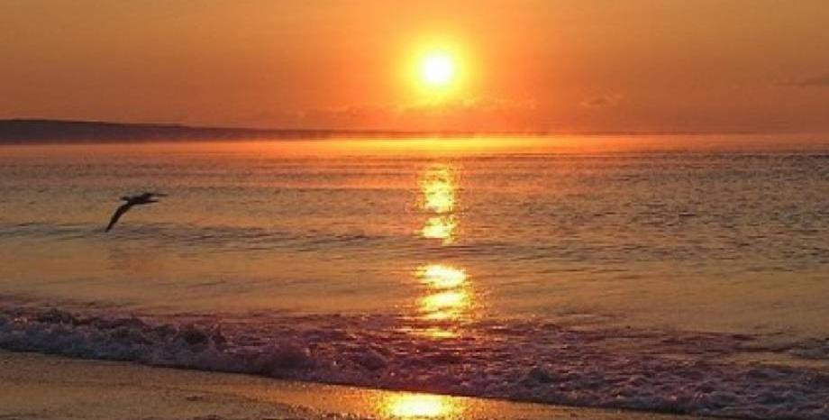 11 групи ще свирят на July morning в Бургас 11 групи ще свирят на July morning в Бургас