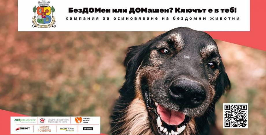 Столична община с кампания за осиновяване на бездомни животни „БезДОМен или ДОМашен. Ключът е в теб!“ Столична община с кампания за осиновяване на бездомни животни „БезДОМен или ДОМашен. Ключът е в теб!“