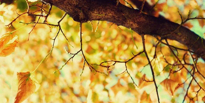 Настъпи есенното равноденствие