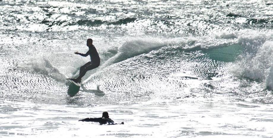 Австралиец е глобен за сърфиране с домашния си любимец - питон