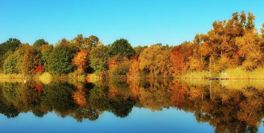 Как да се насладим на есента и да избегнем лошото настроение