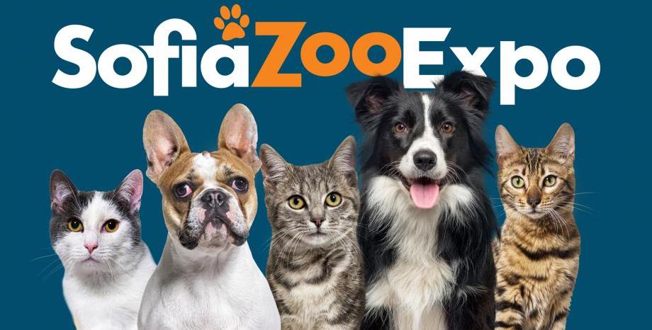 Модно шоу за кучета, популярни личности, екзотични животни и много забавления на Sofia Zoo Expo!